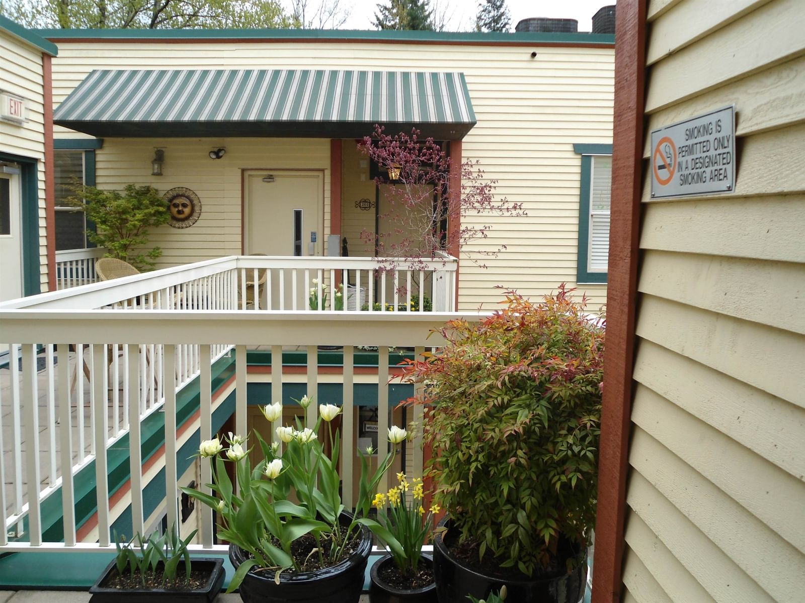 Listing Image 9