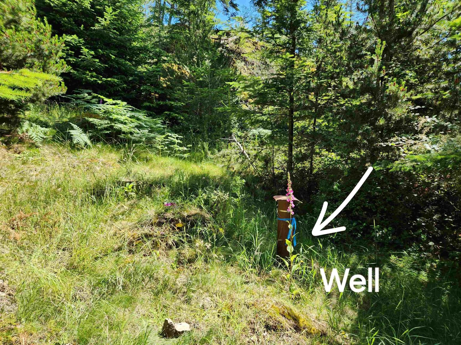 Listing Image 18