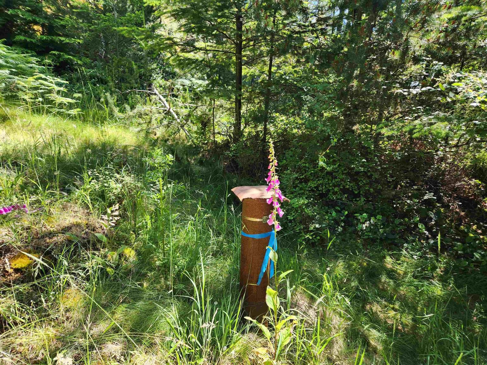 Listing Image 19