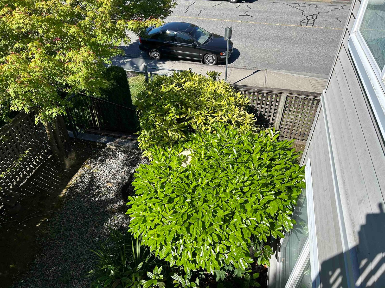Listing Image 25