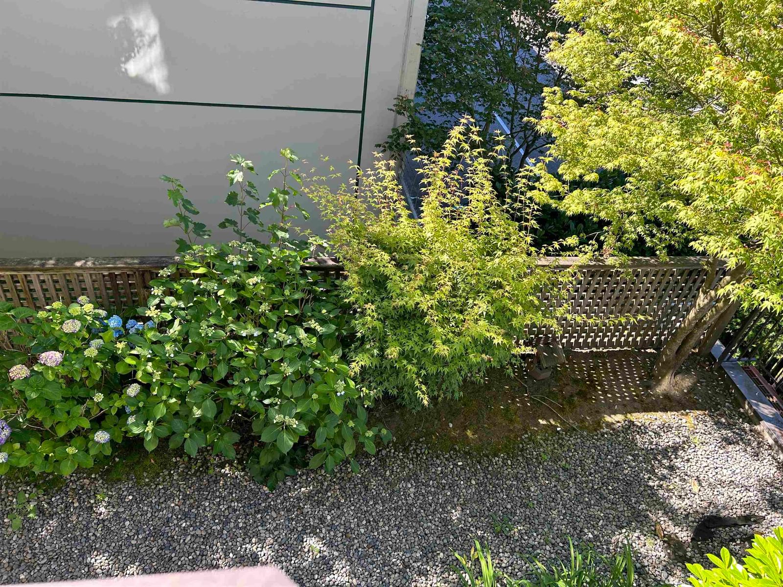 Listing Image 26