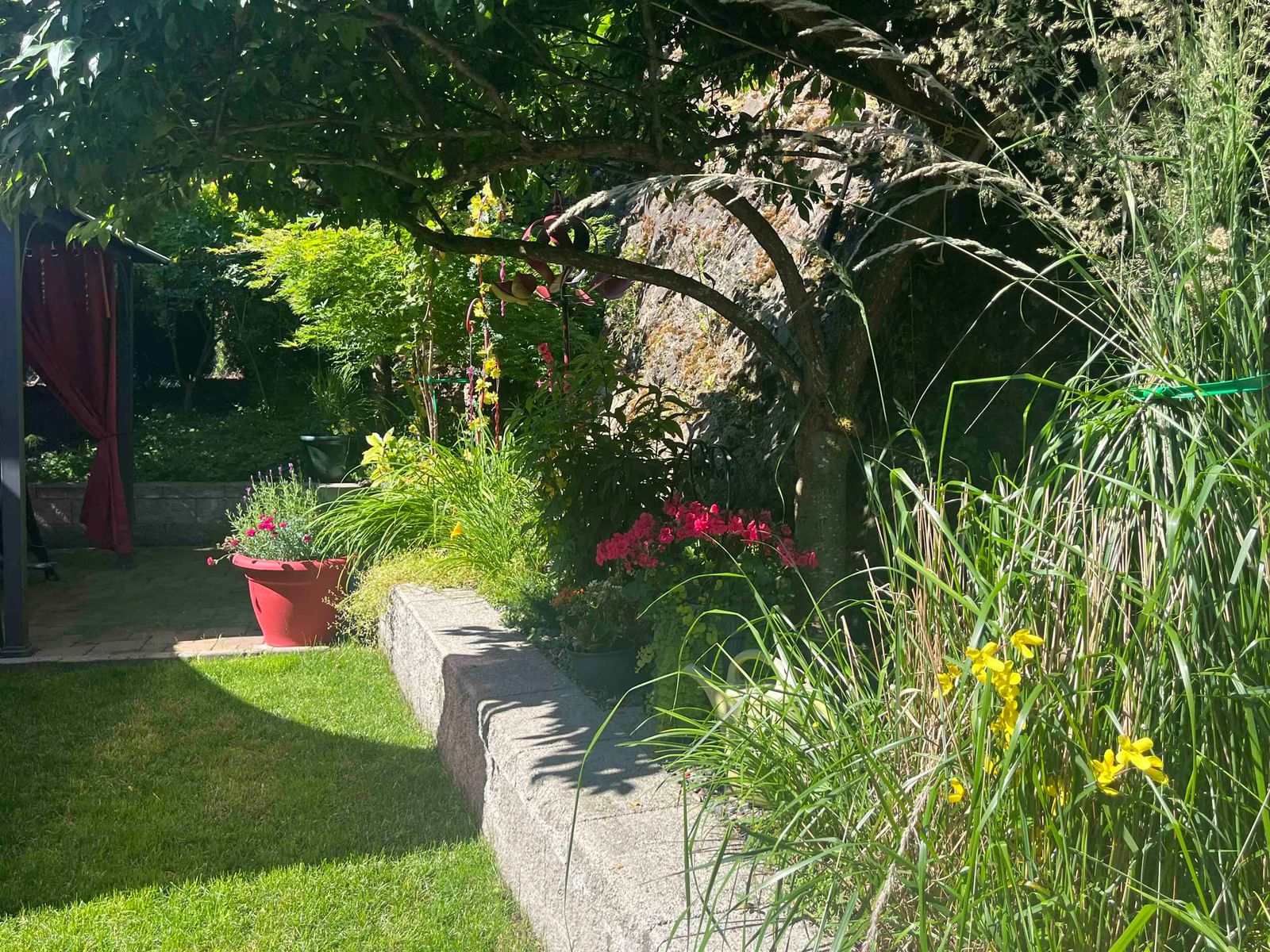 Listing Image 33