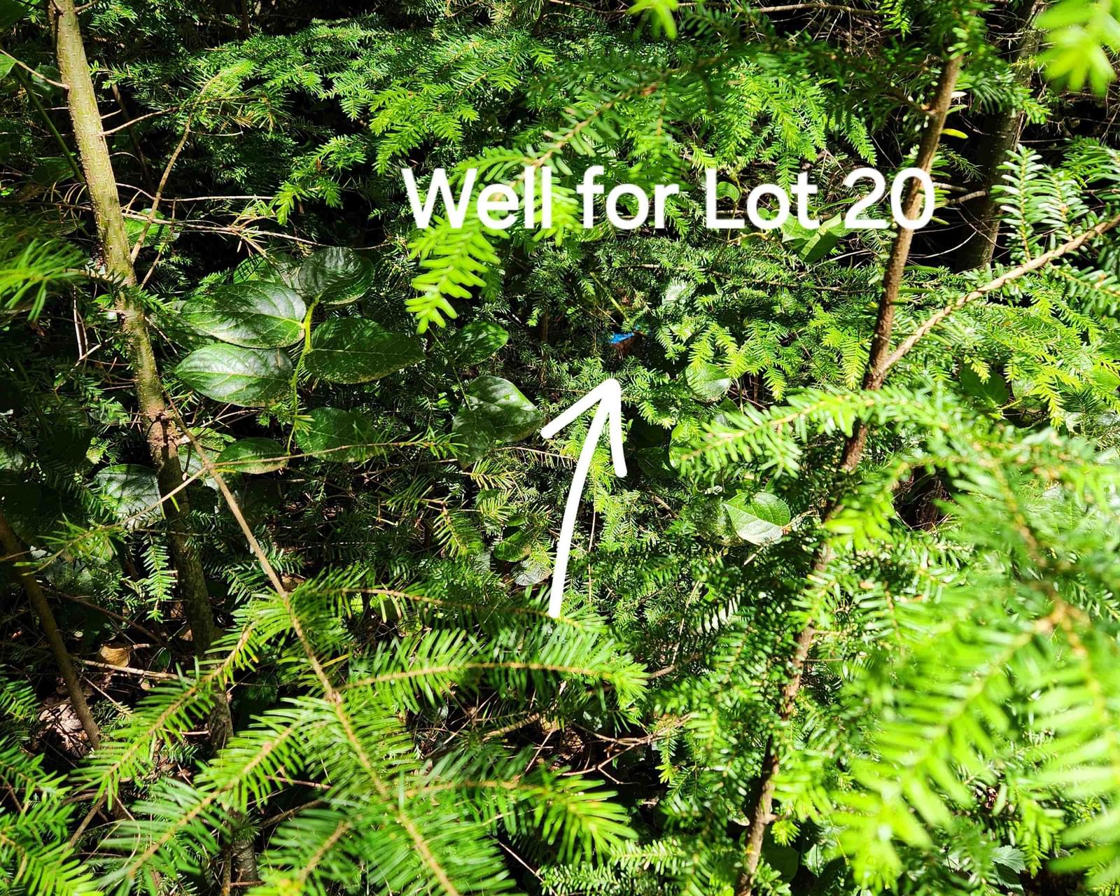 Listing Image 13