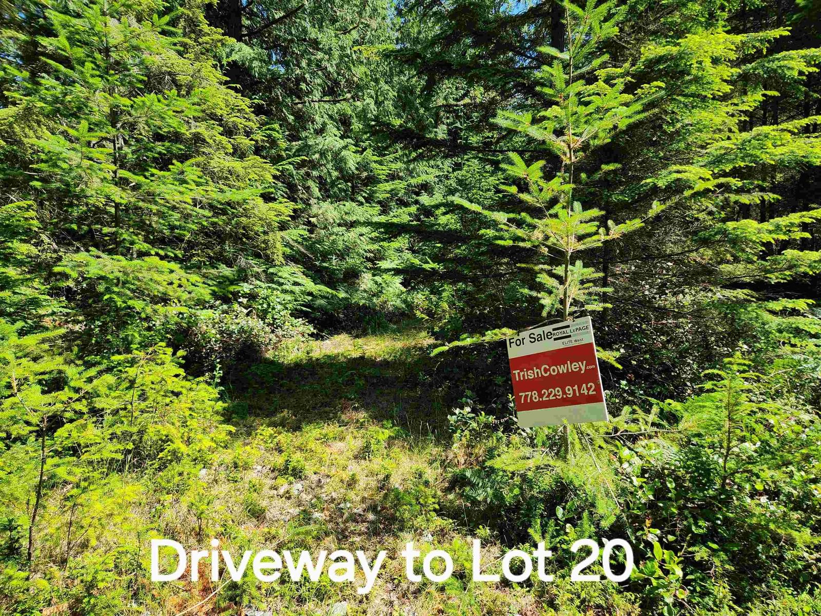 Listing Image 15