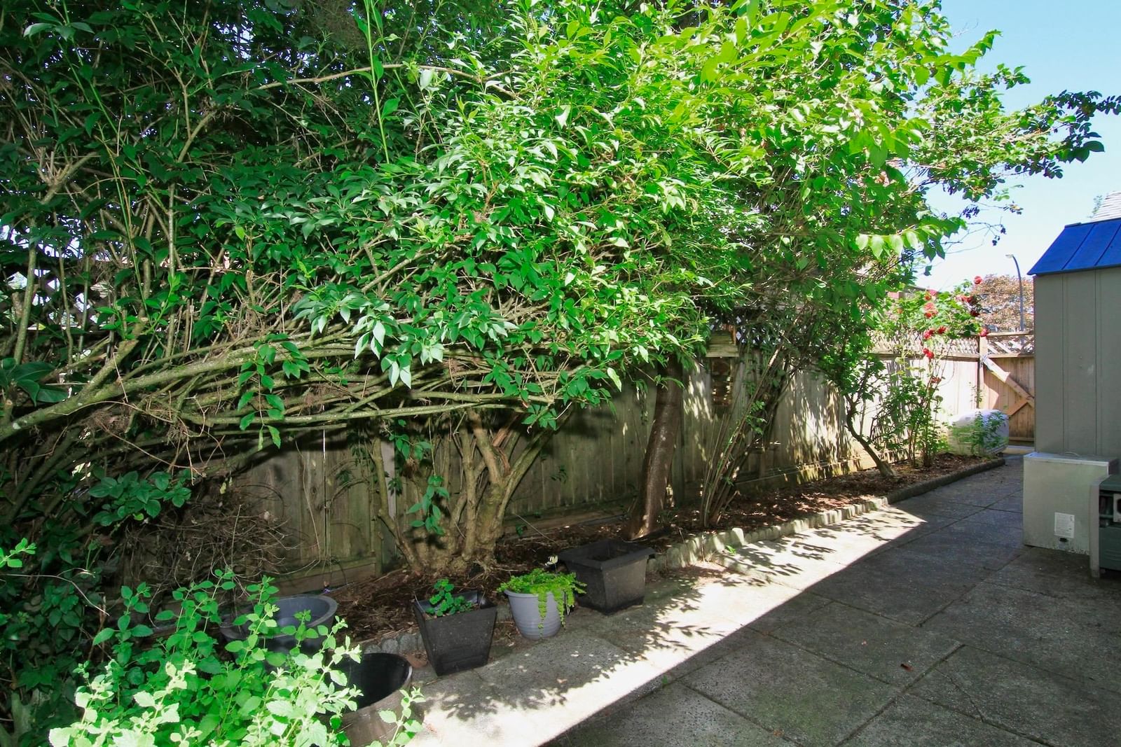 Listing Image 29