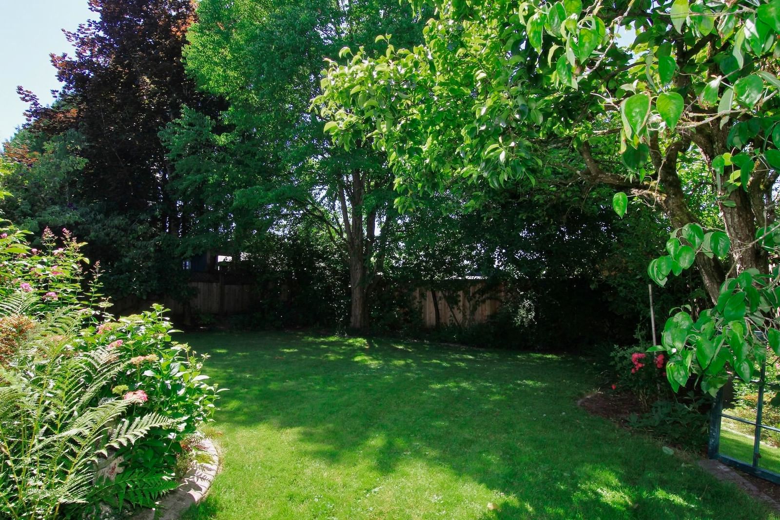 Listing Image 31