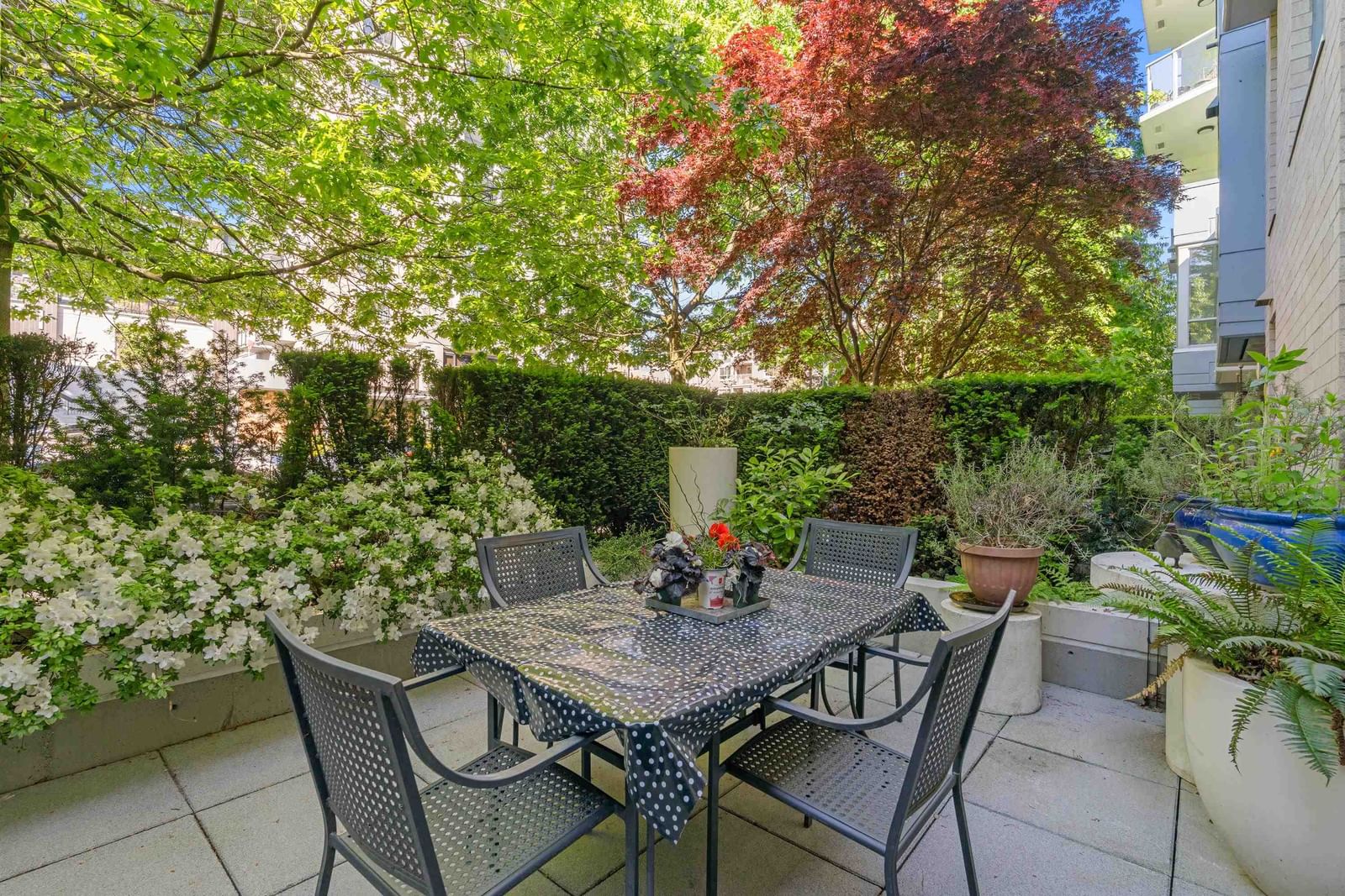 Listing Image 16