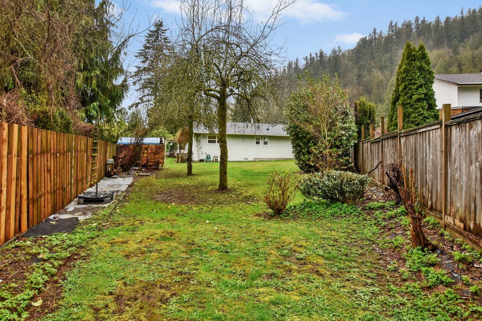 Listing Image 31