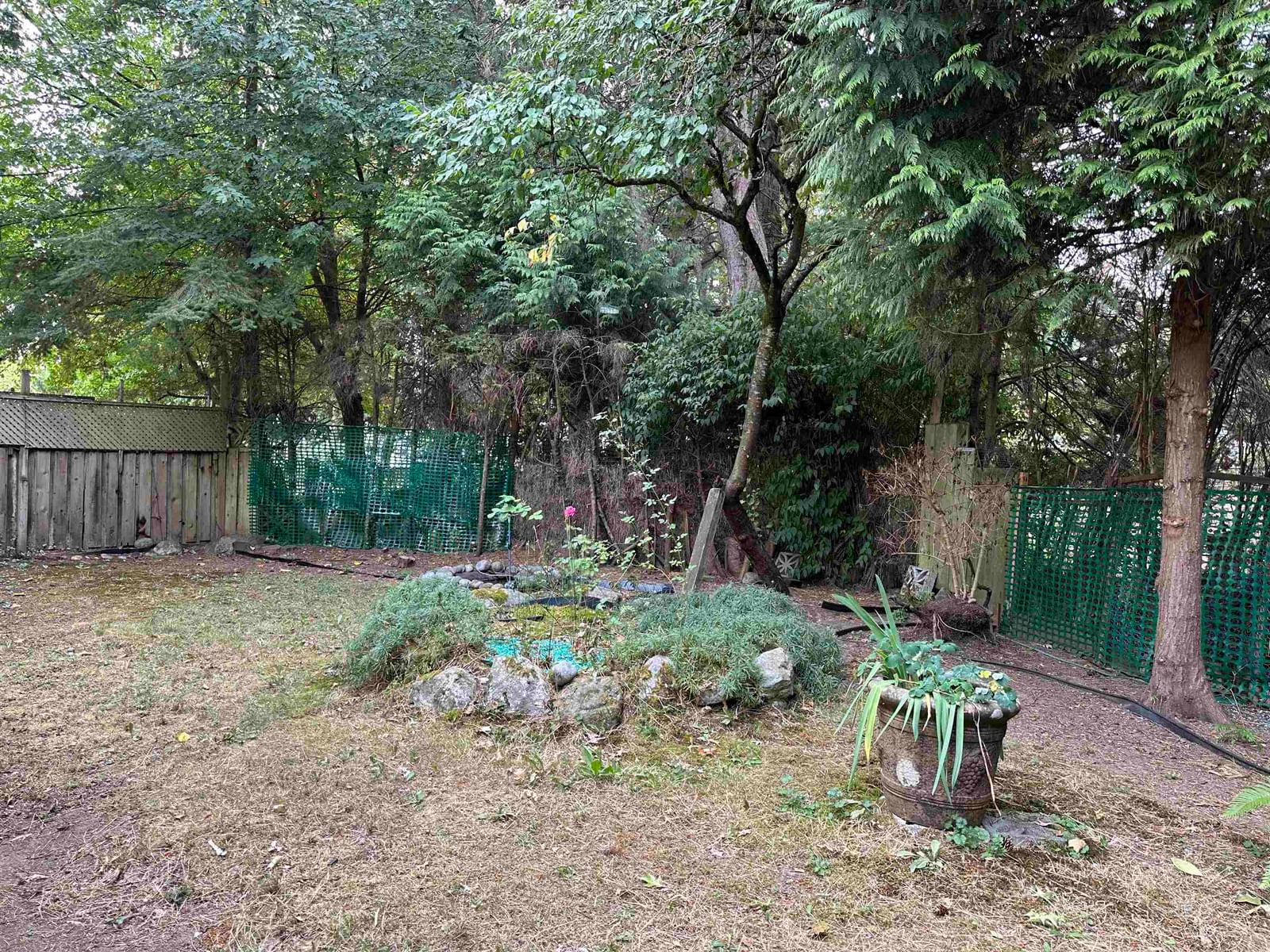Listing Image 21