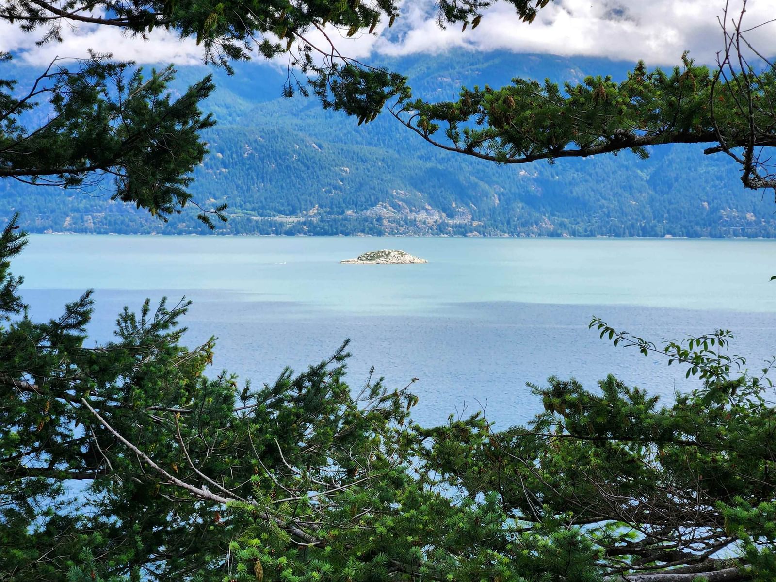 Listing Image 13