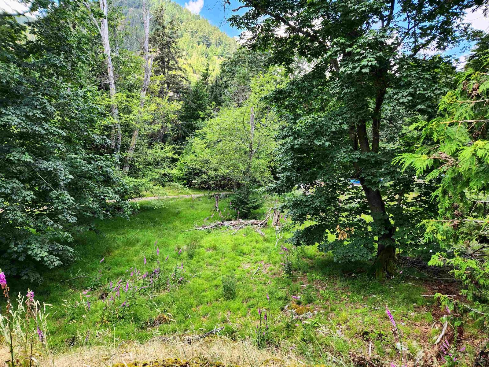 Listing Image 16
