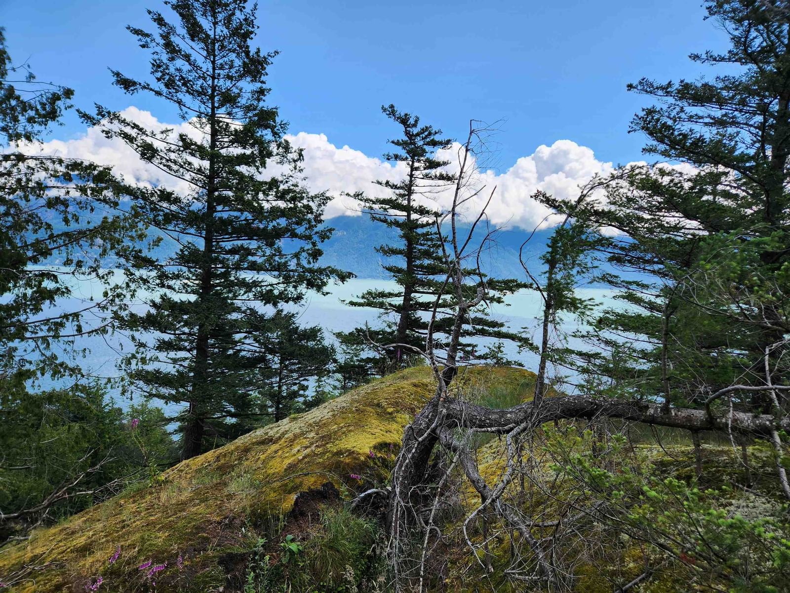 Listing Image 17