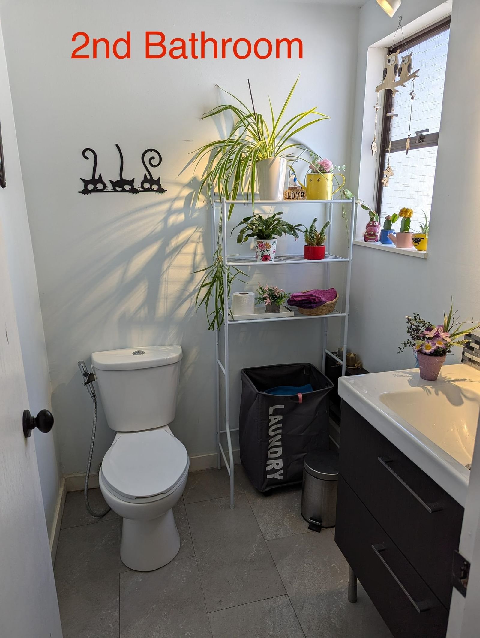 Listing Image 14