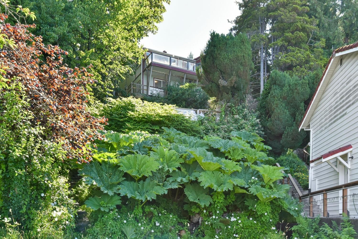 Listing Image 29