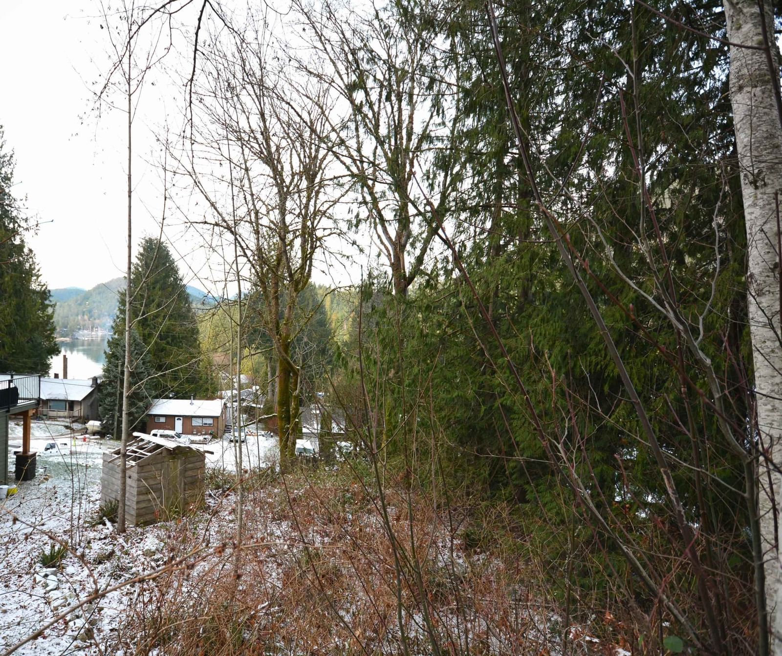 Listing Image 4