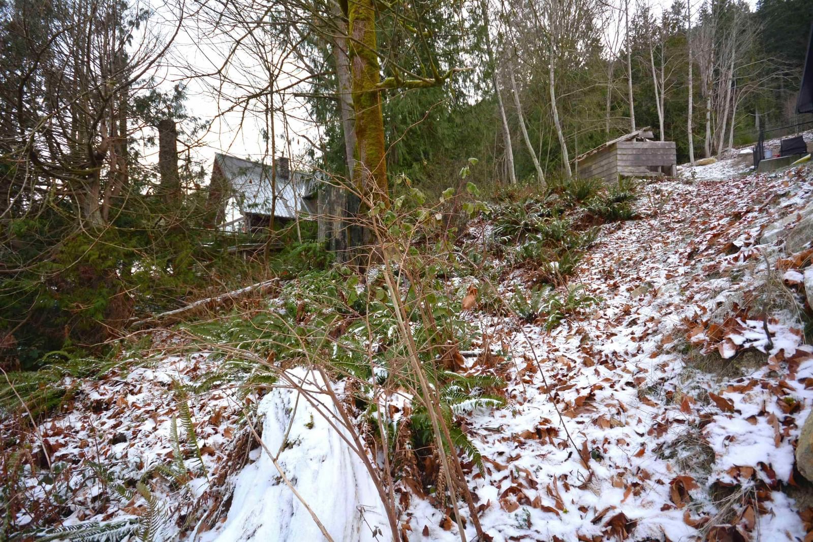 Listing Image 8