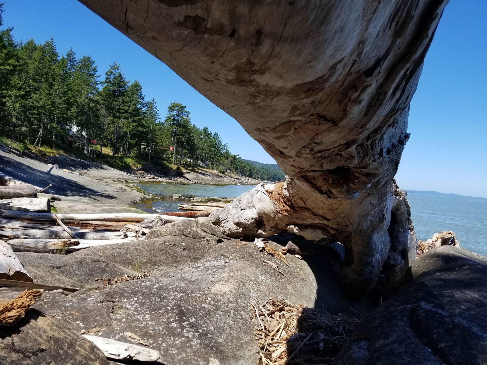 Listing Image 14