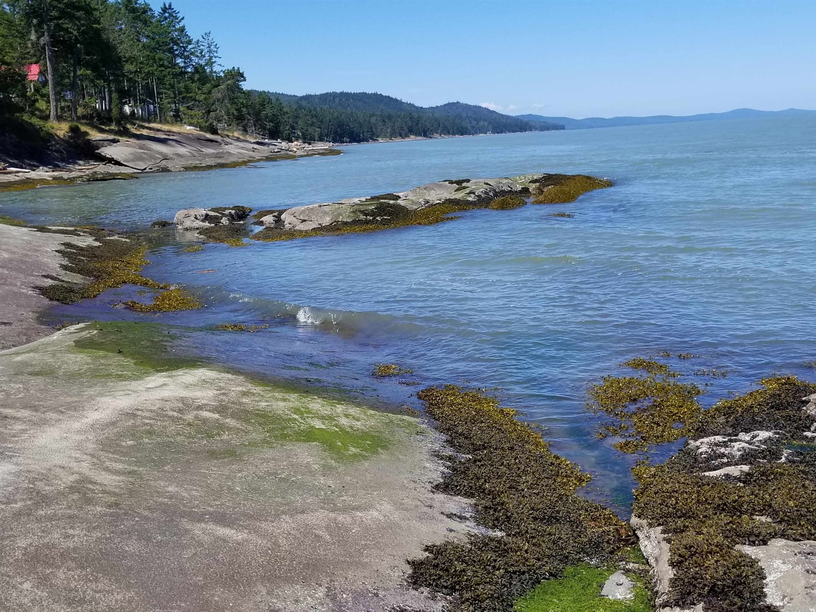 Listing Image 16