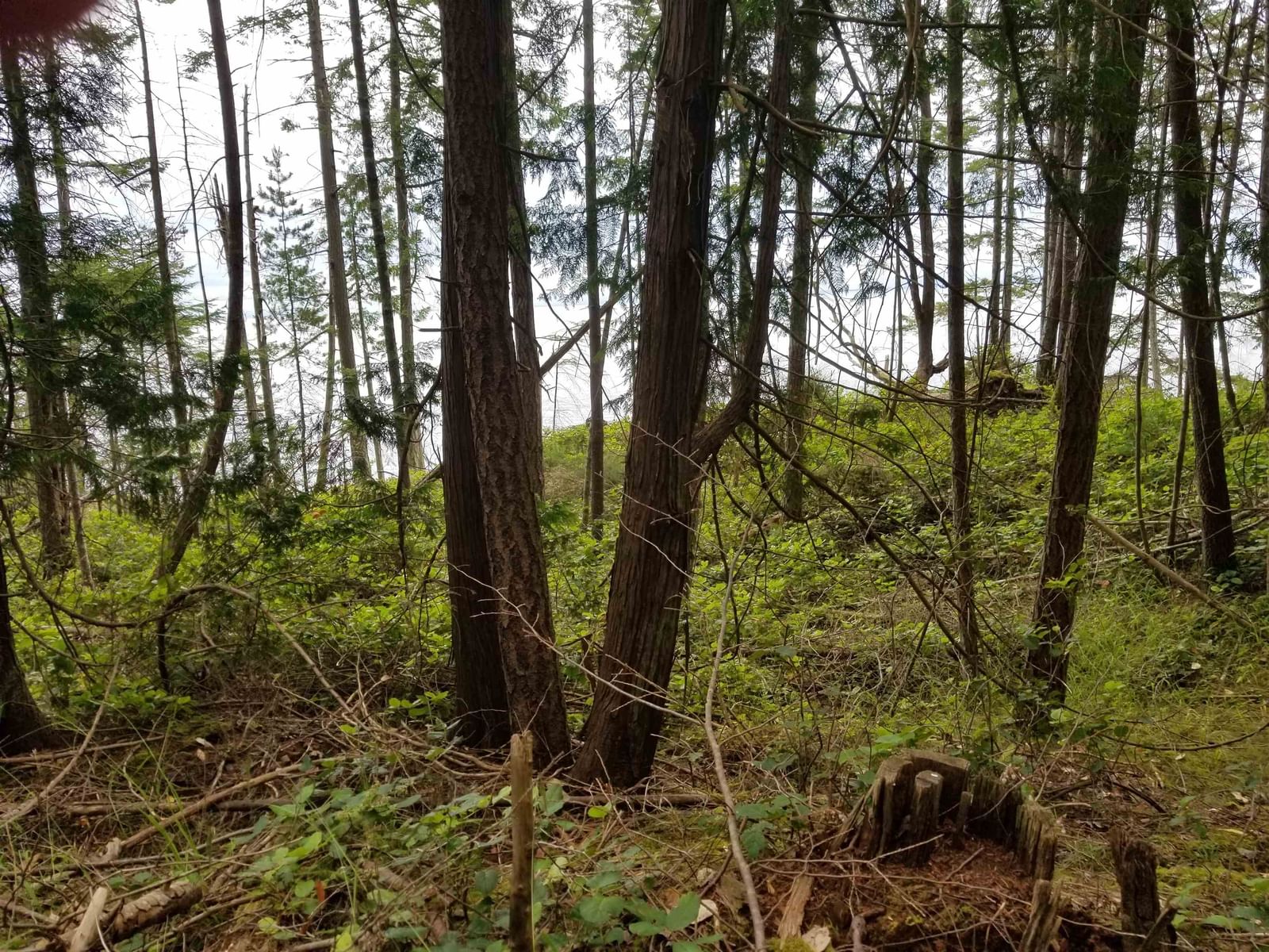 Listing Image 8