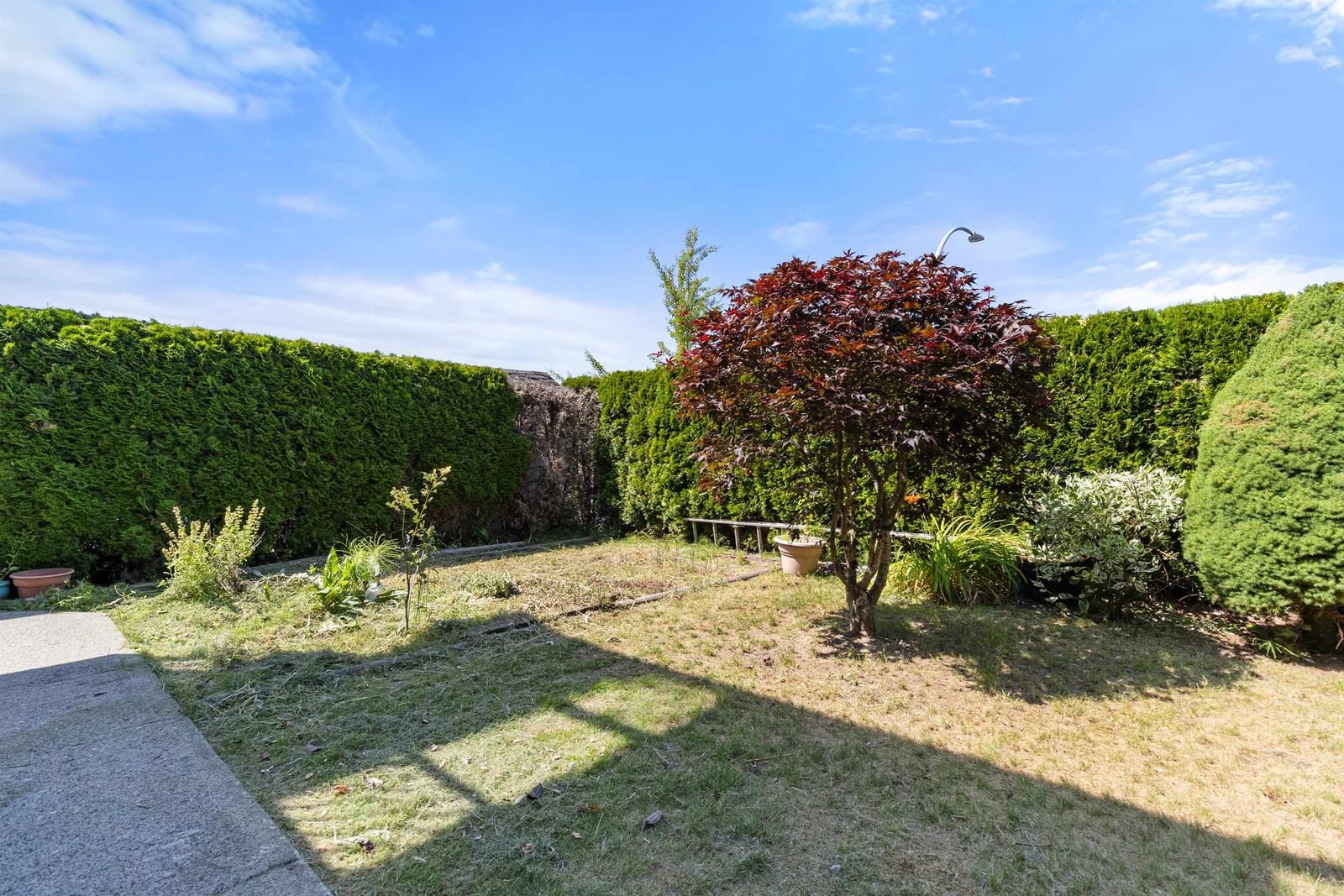 Listing Image 39
