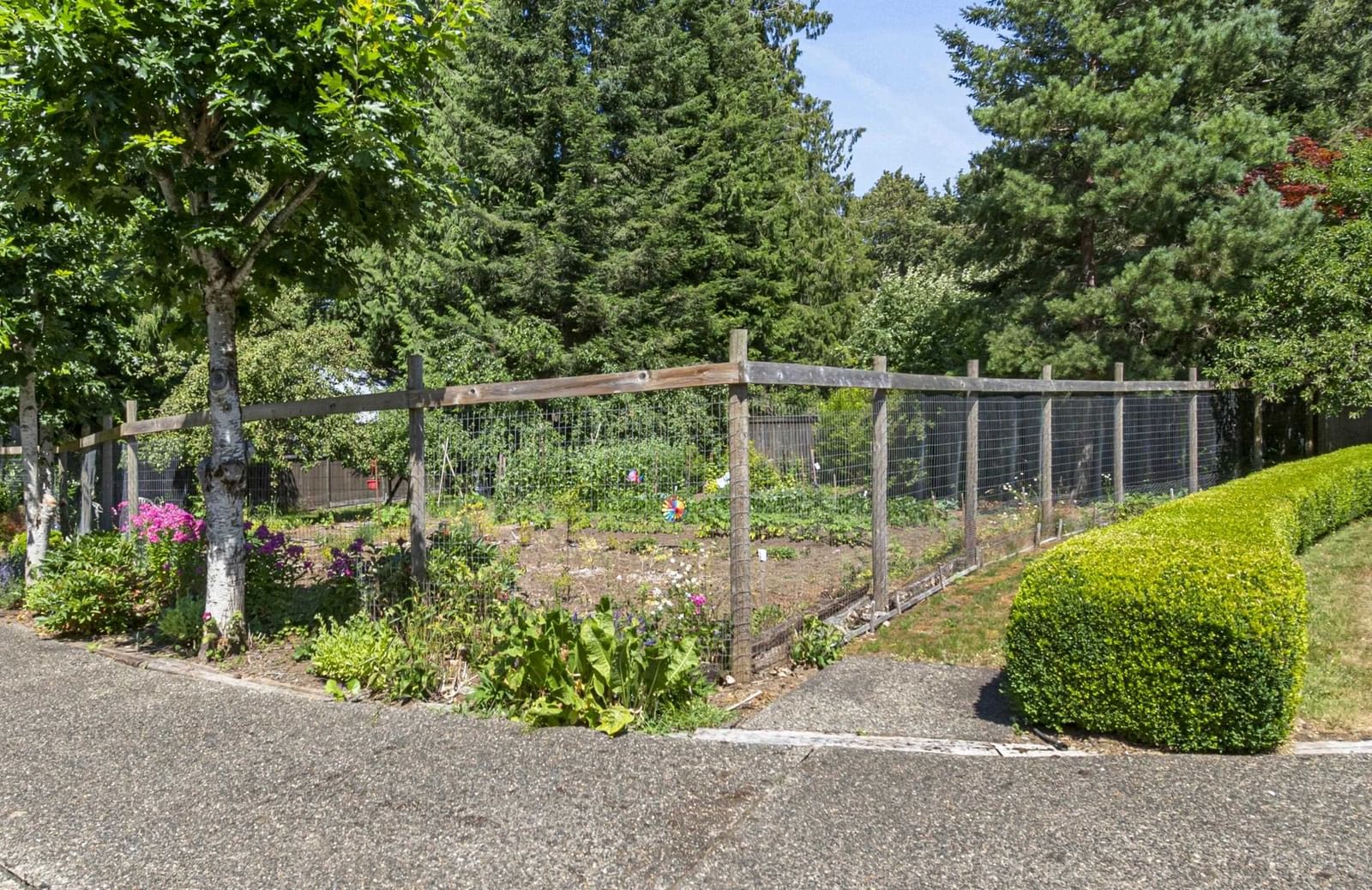 Listing Image 17