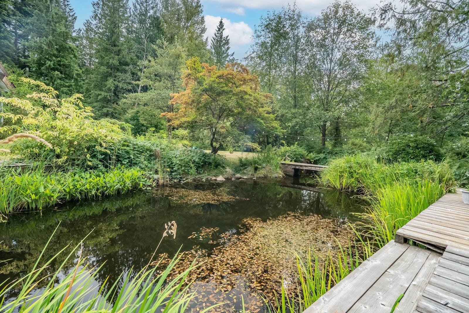 Listing Image 37