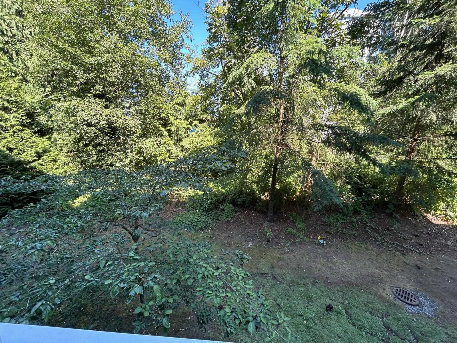 Listing Image 28