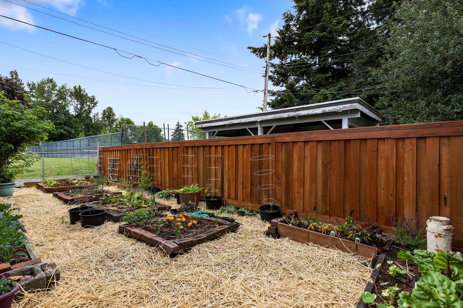 Listing Image 23
