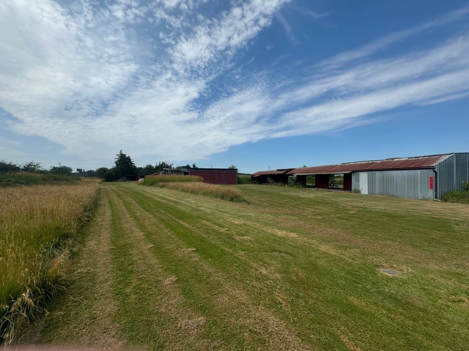 Listing Image 14