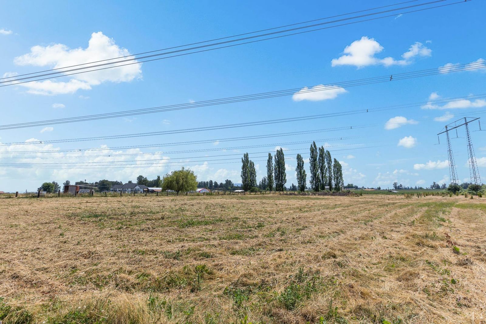 Listing Image 39