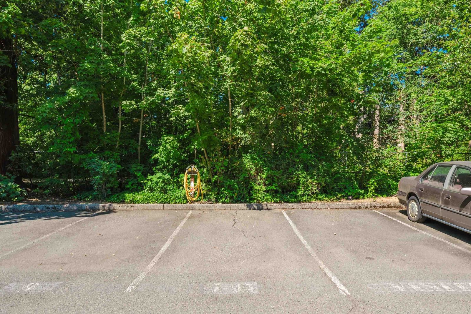 Listing Image 36