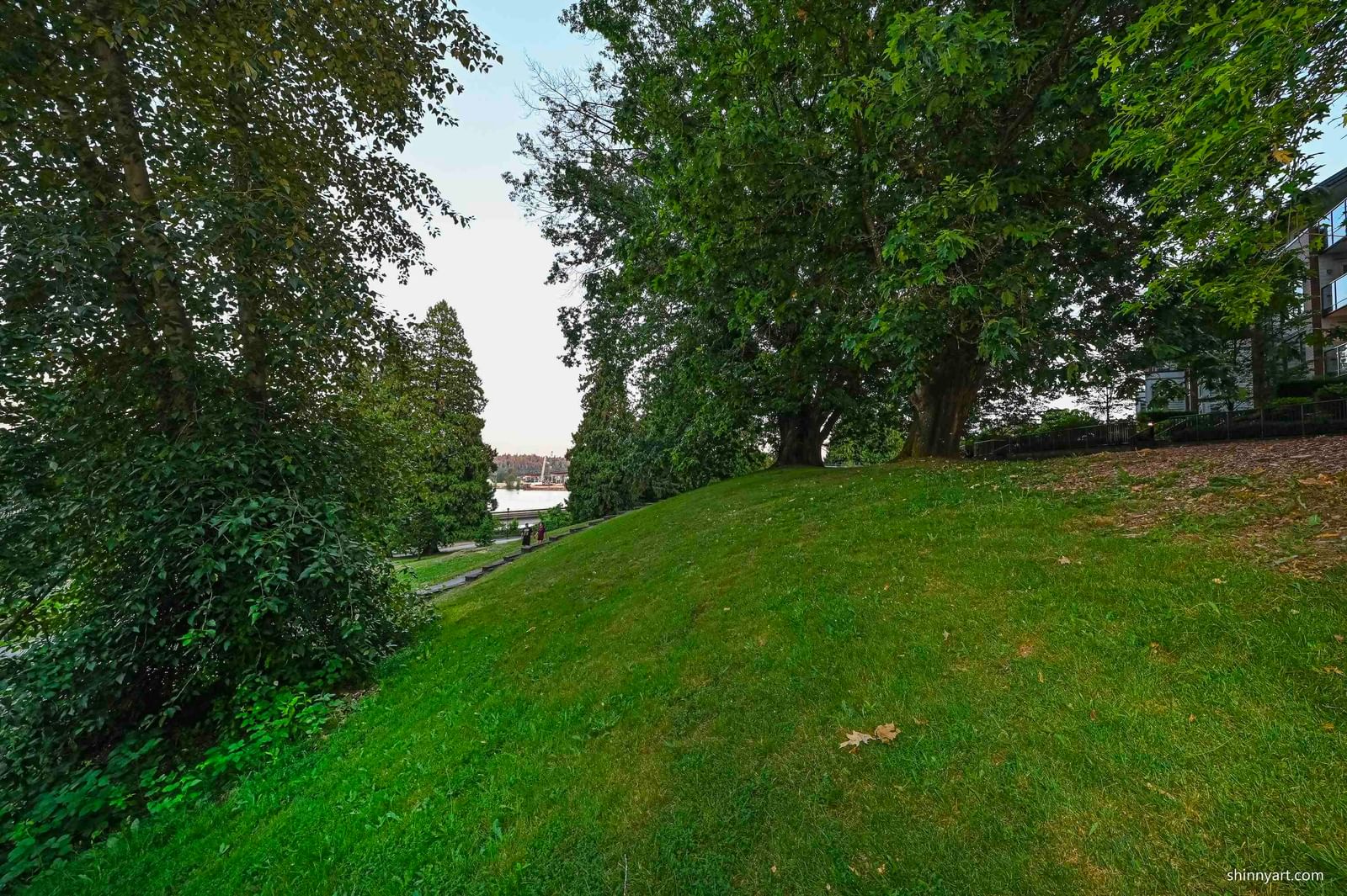 Listing Image 24
