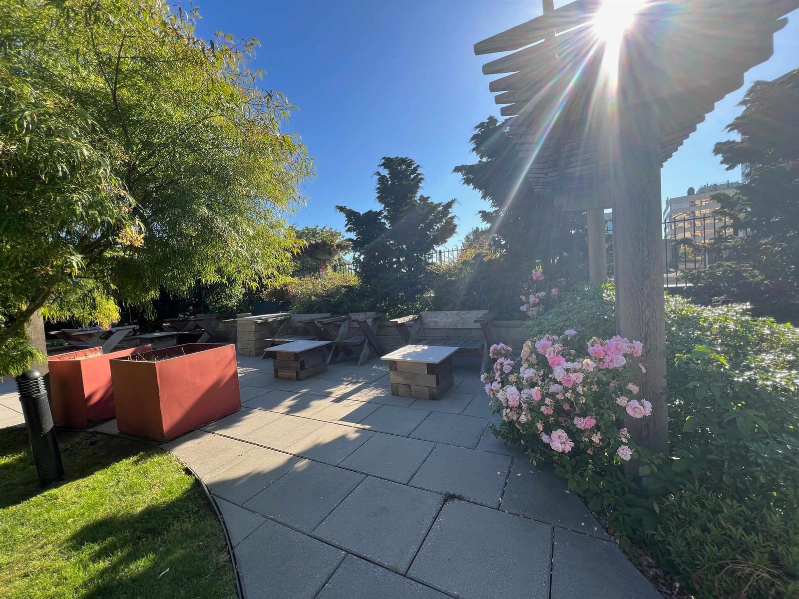 Listing Image 13