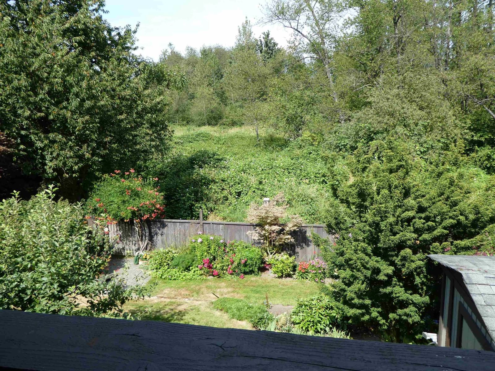 Listing Image 36