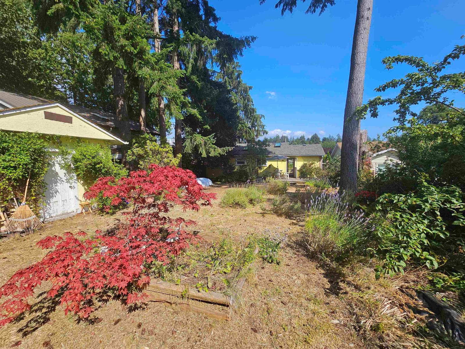 Listing Image 17