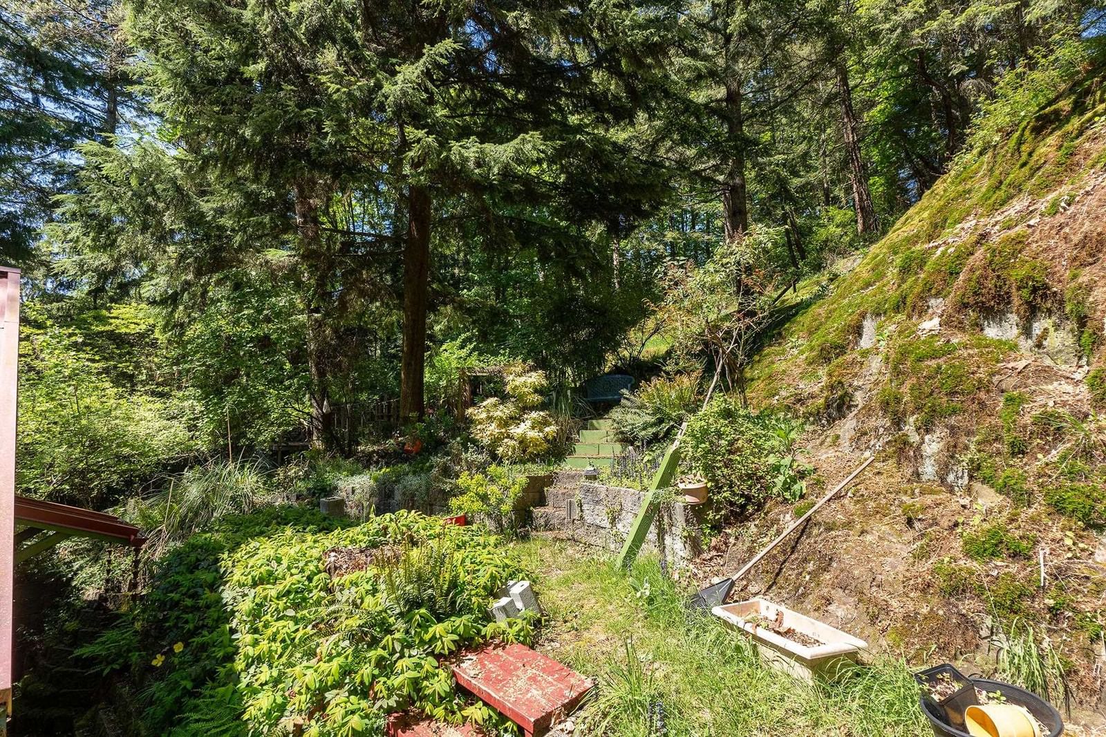 Listing Image 21
