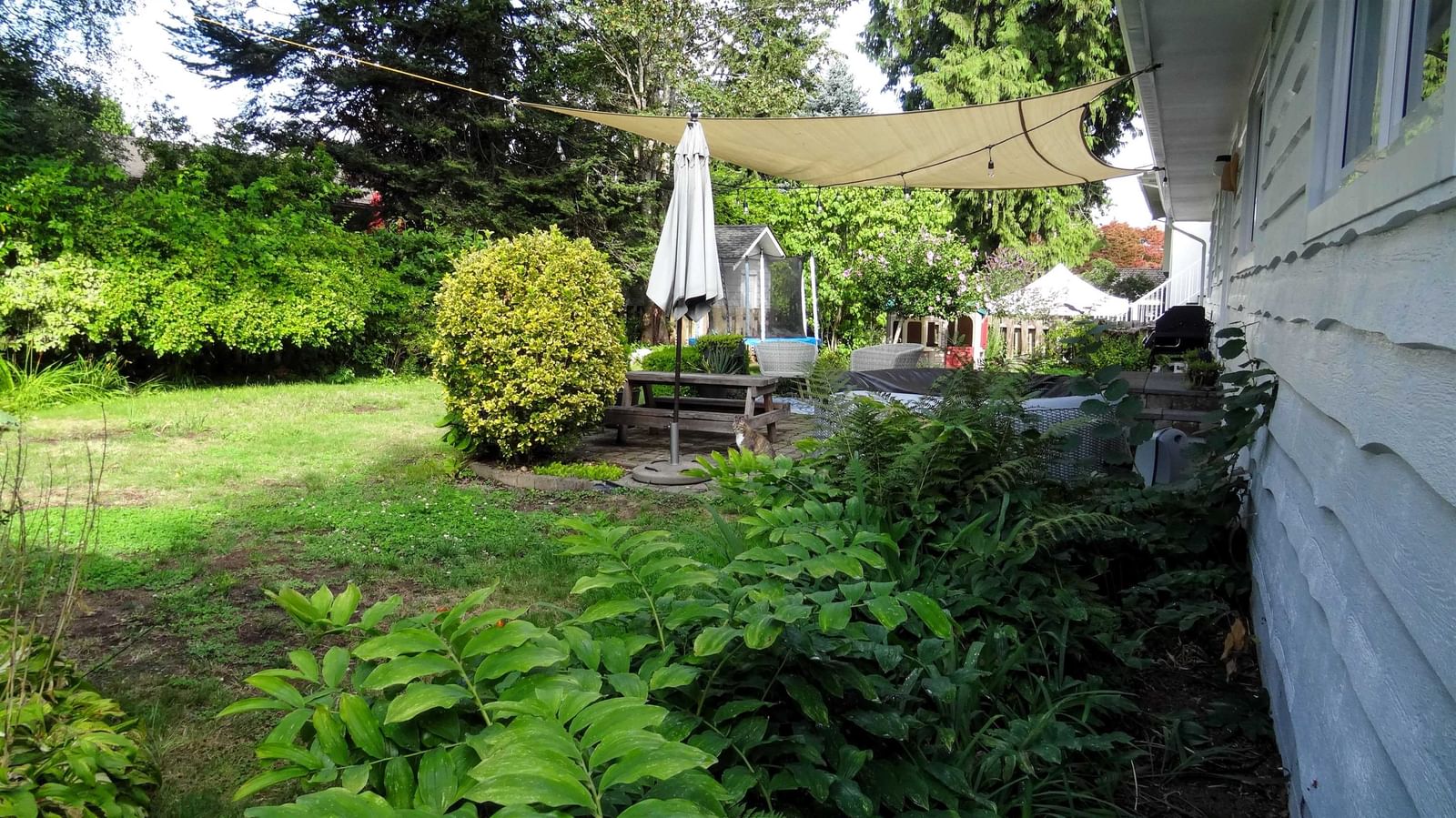 Listing Image 34