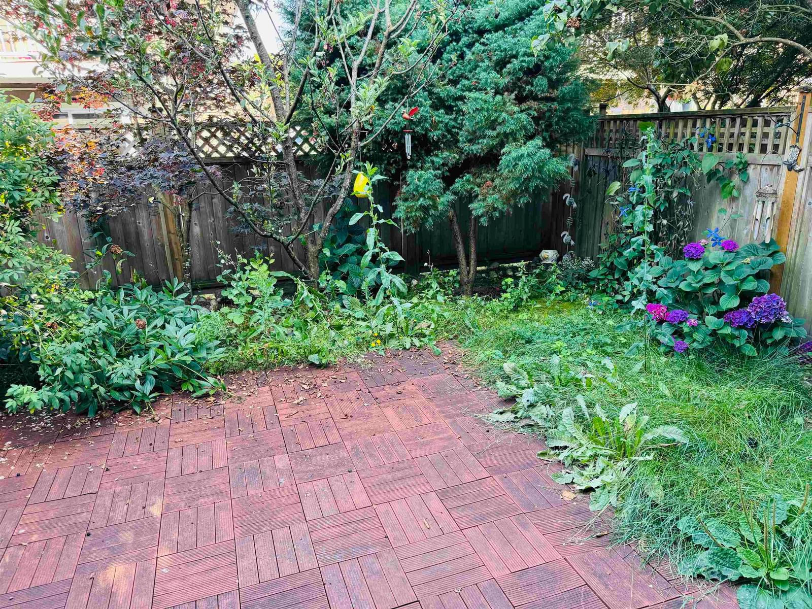 Listing Image 20