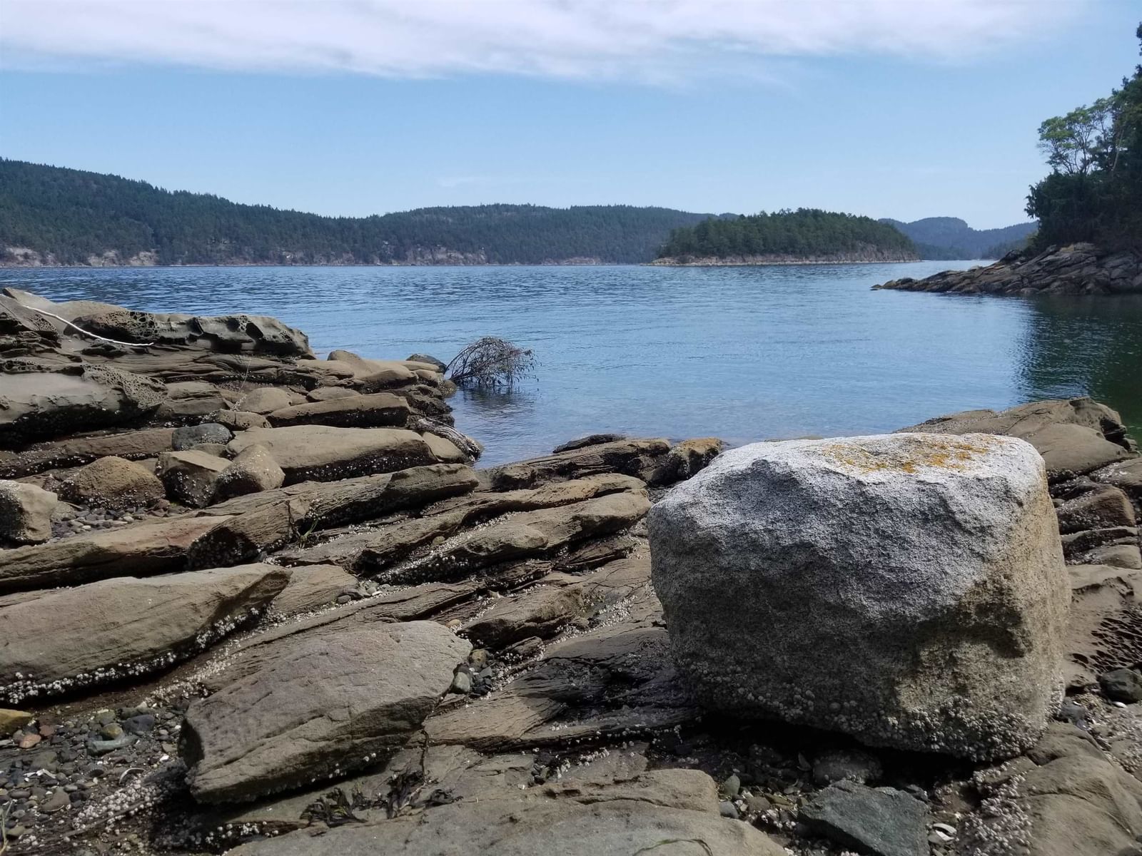 Listing Image 17