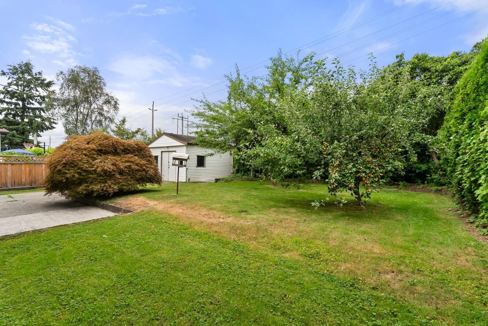 Listing Image 39