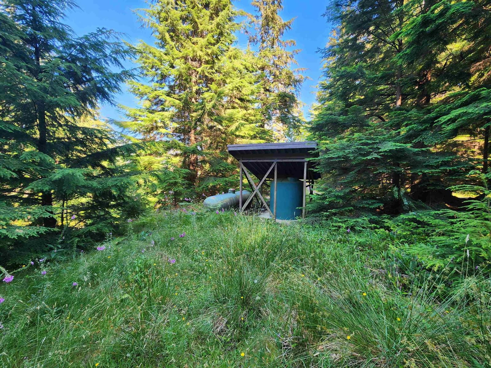Listing Image 23