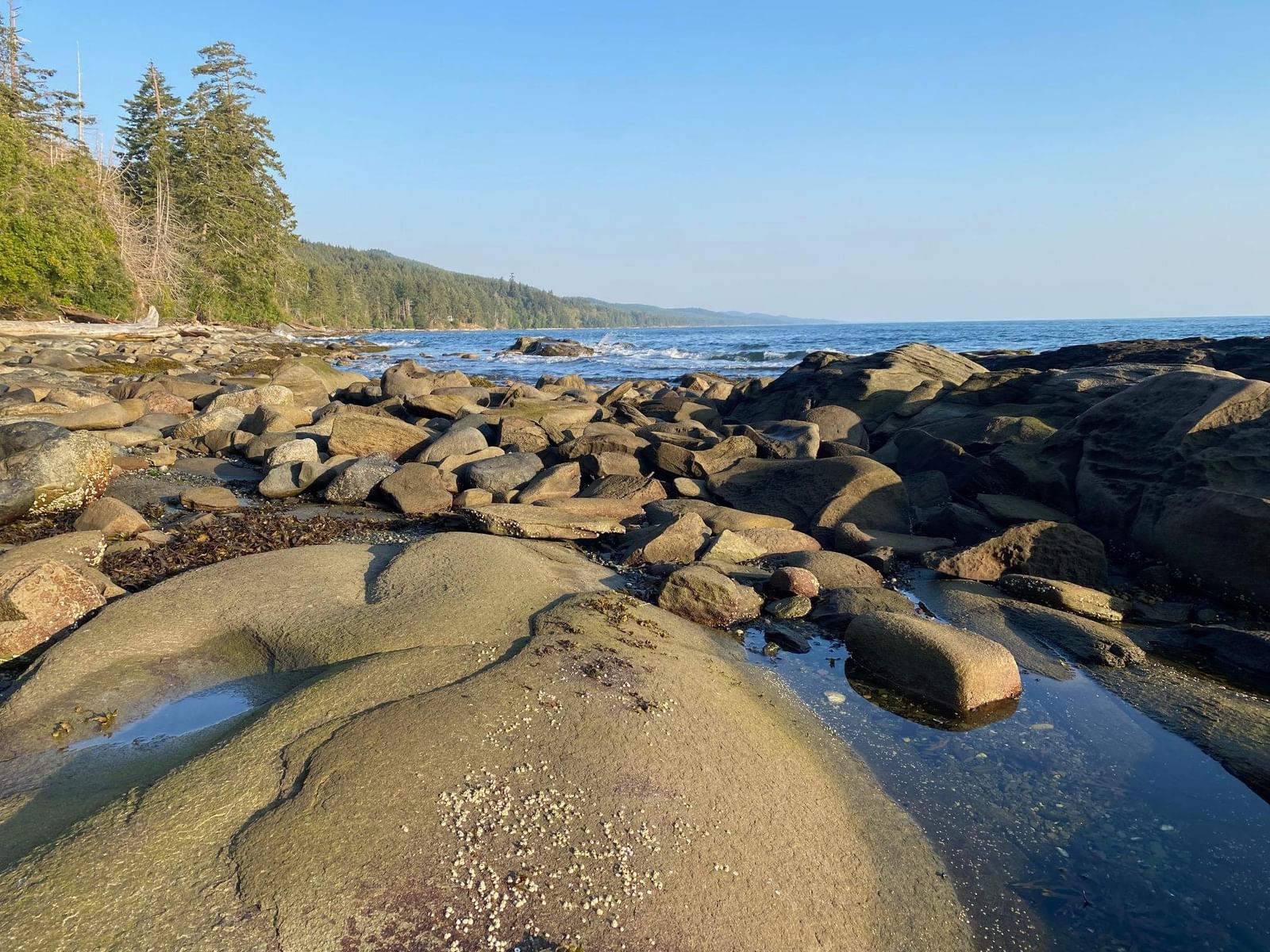 Listing Image 11