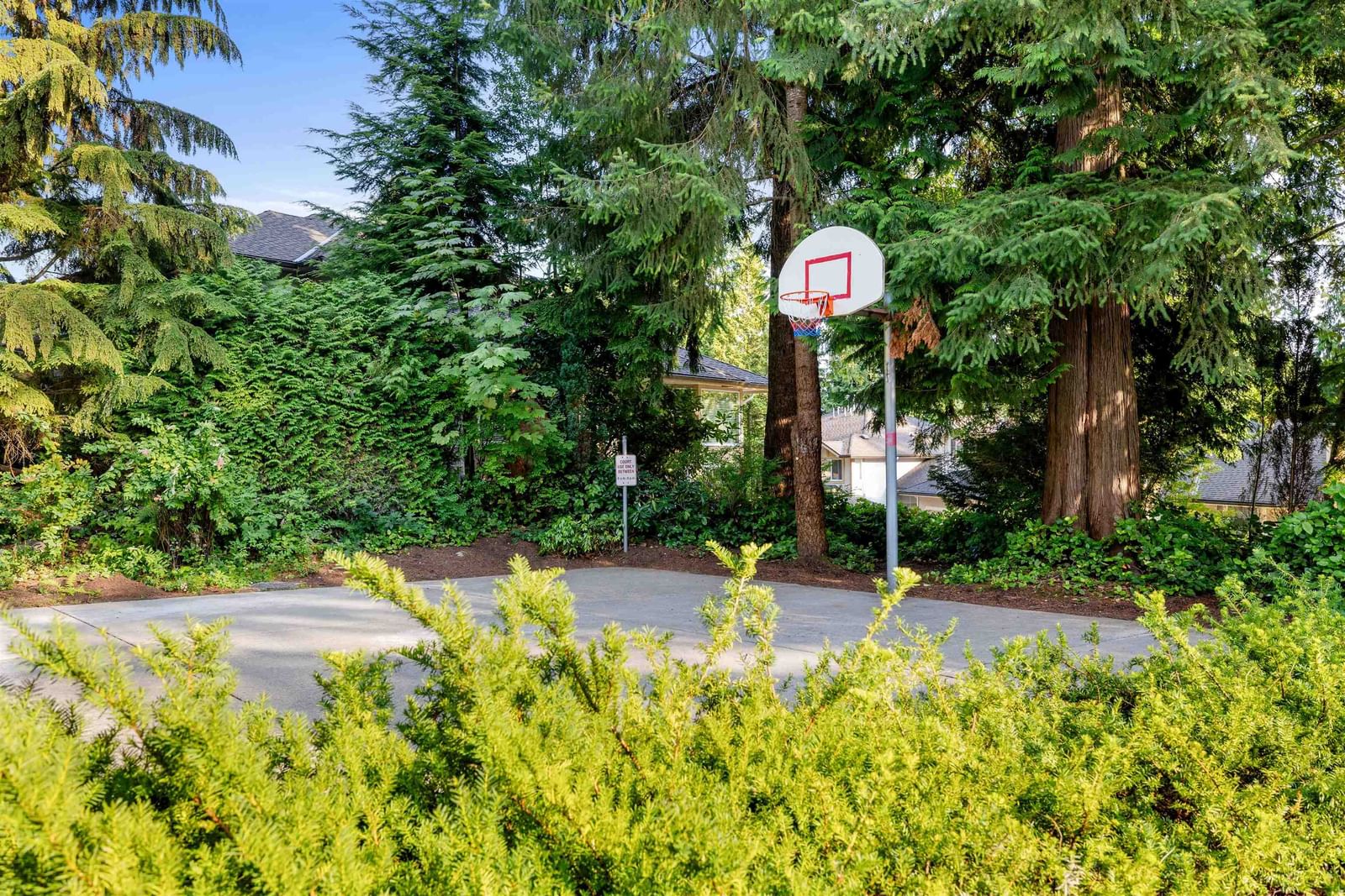 Listing Image 38