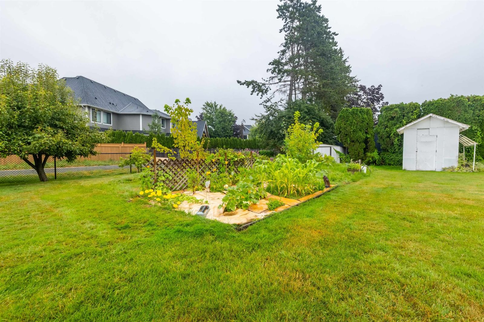 Listing Image 6
