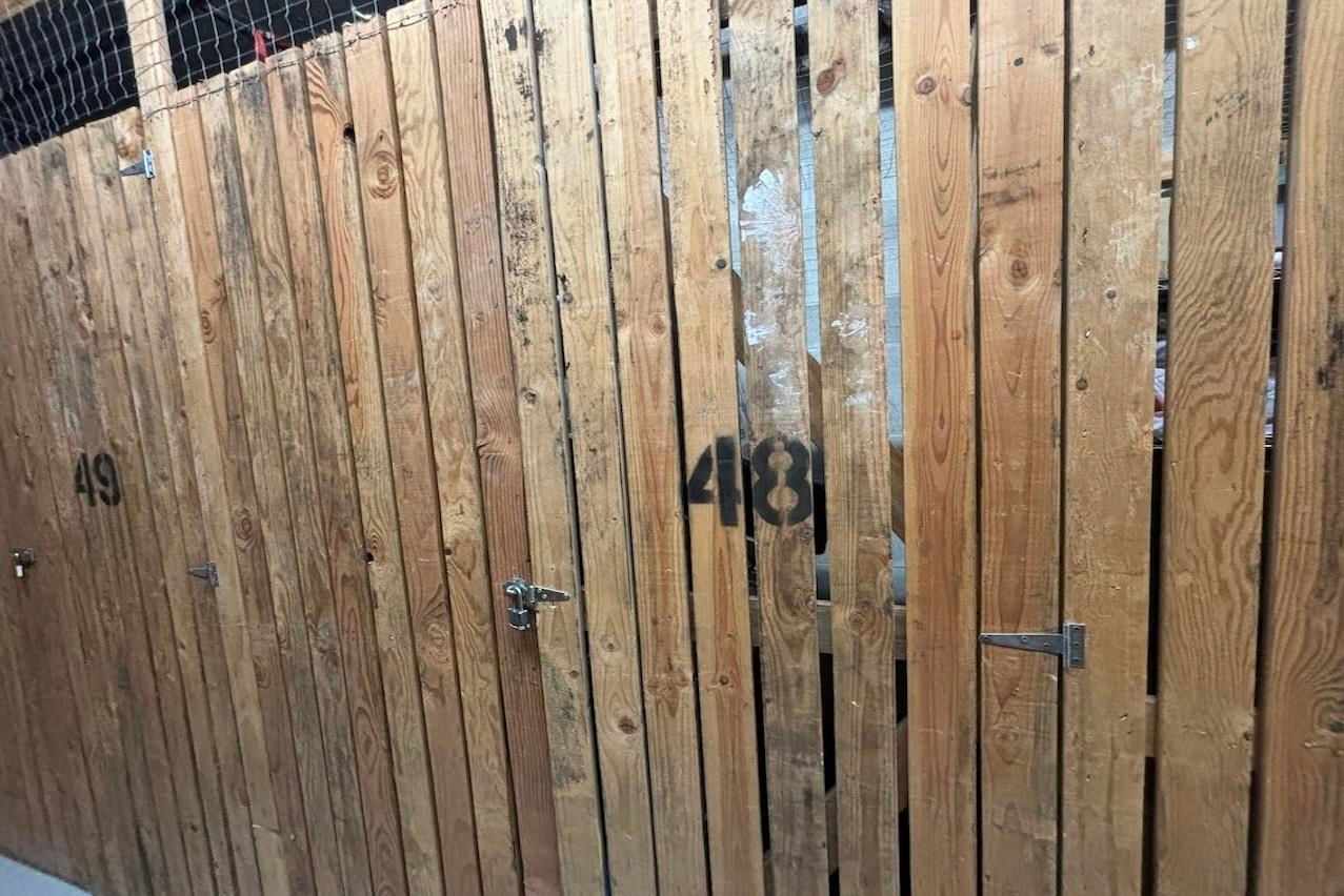 Listing Image 13
