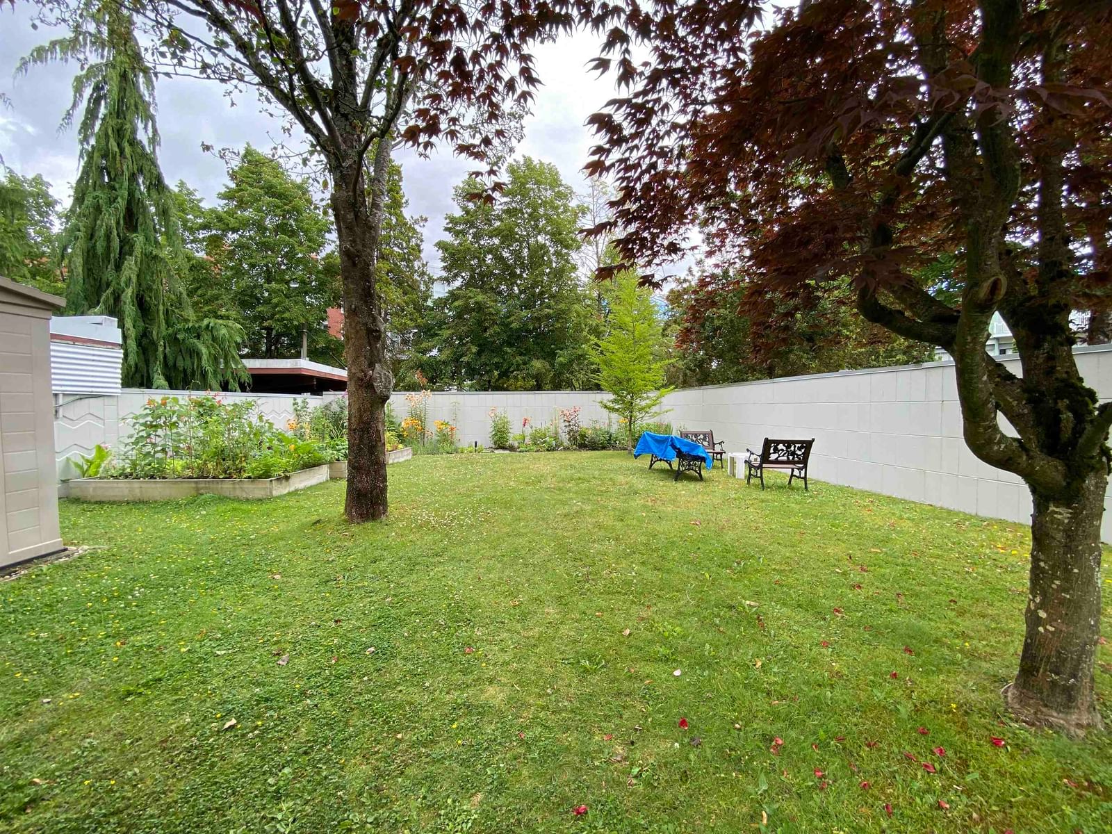 Listing Image 22