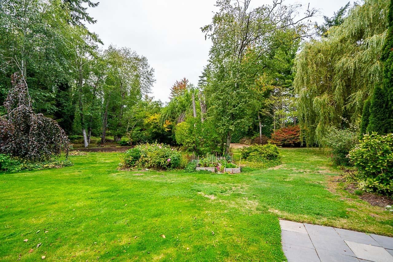 Listing Image 37