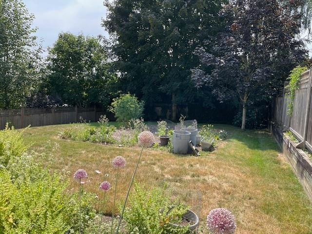 Listing Image 30