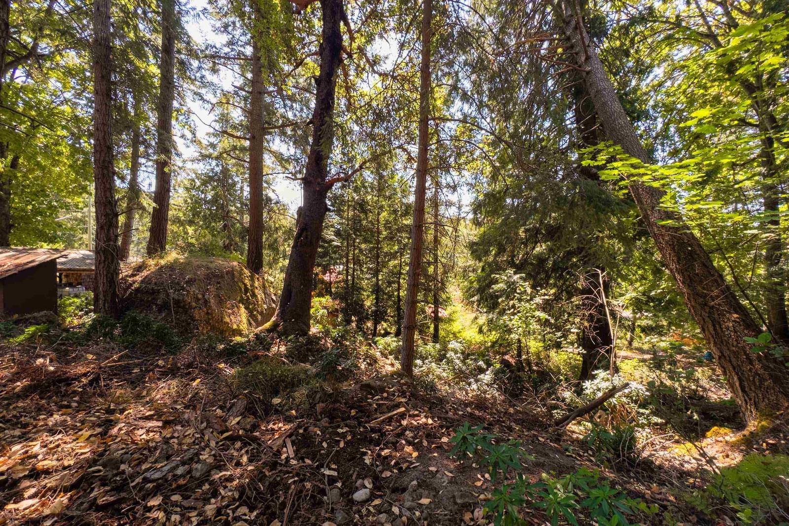 Listing Image 18