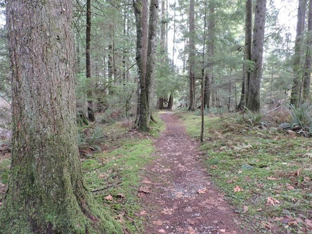 33875 Richards Avenue, Mission, V2V 7E3 | Image 3